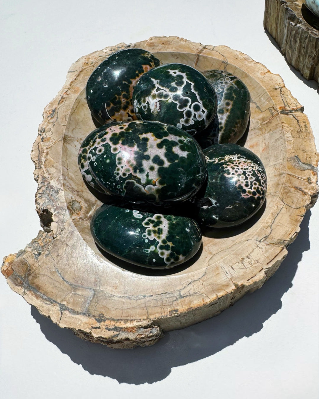 Ocean Jasper Palm Stones